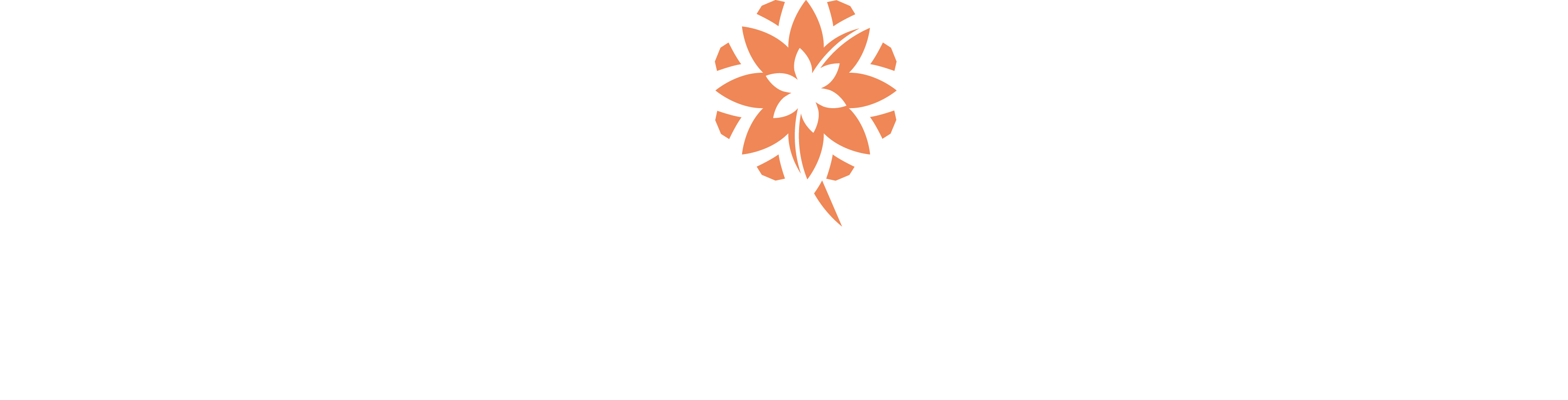 LOGO AGORA CITY